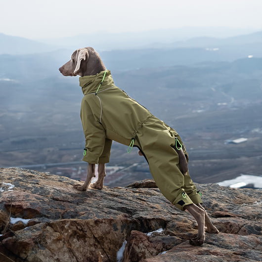 Abrigo Impermeable para Perros Grandes con Cuello Alto y Protección Térmica - Image 3