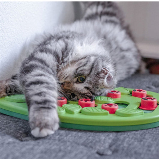 Juguete Interactivo para Gatos - Tablero de Diversión y Alimentación - Image 3