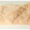 Damasco C:100x75 Cm