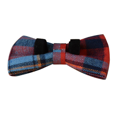 Collar para Perro de Terciopelo Azul con Hebilla de Aleación - Image 8