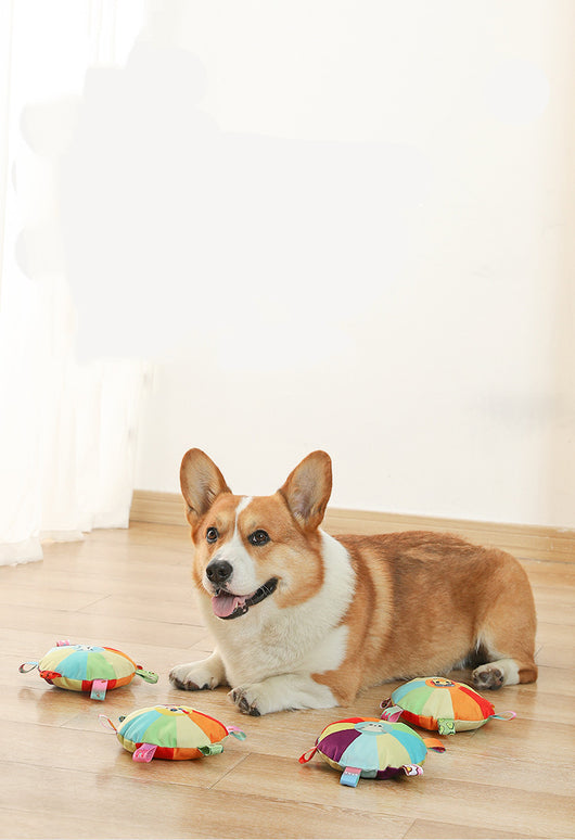 Discos Voladores Interactivos para Perros con Sonido y Peluche Resistente - Image 8