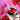 Coquette Red Pearl Bow Tumbler H2.0 Cup Topper 40oz | 30oz | 20 oz | Tumbler Cup Accessories - Tekeno