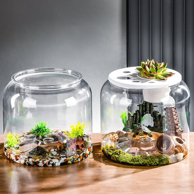 Acuario de Escritorio Ecológico con Alimentador Automático