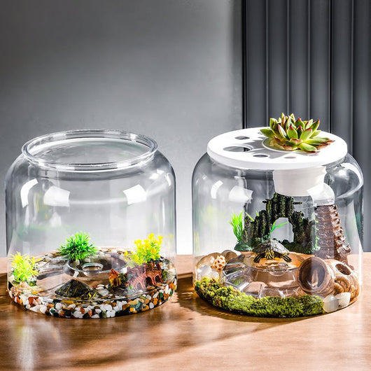 Acuario de Escritorio Ecológico con Alimentador Automático
