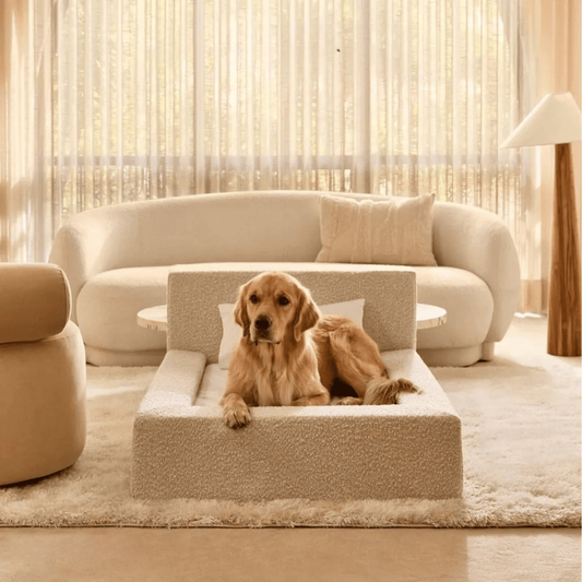 Cama Ortopédica Móvil para Perros y Gatos con Respaldo
