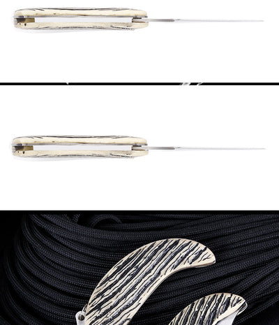 Navaja Plegable Portátil con Diseño de Hoja - Image 6