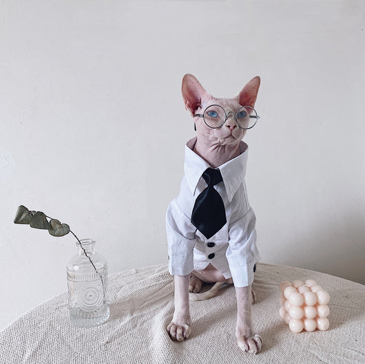 Traje Elegante para Gatos Sphynx y Razas sin Pelo - Image 8