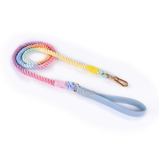 Juego de Collar y Correa para Perros Medianos y Grandes en Cuero y Algodón Tejido - Image 37