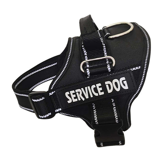 Arnés Personalizado para Mascotas - Image 16