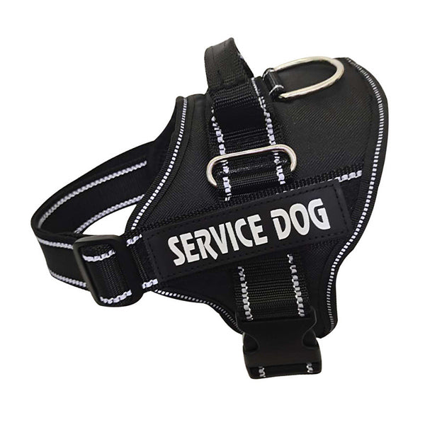Arnés Personalizado para Mascotas - Image 3