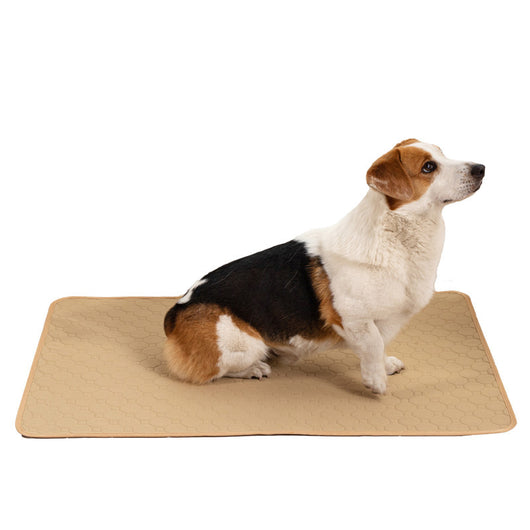 Pañales Absorbentes Reutilizables para Mascotas con Entrenamiento - Image 12