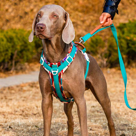 Arnés de Pecho para Perros Medianos y Grandes - Resistente al Calor Veraniego