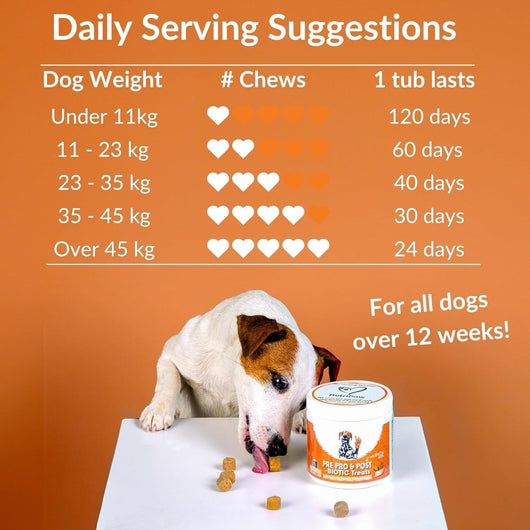 Snacks Prebióticos para Perros - Salud Digestiva e Intestinal - Image 10