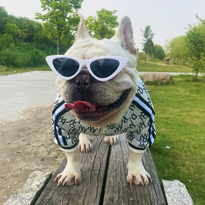 Chamarra Elástica con Cierre para Perros - Ropa Cómoda para Mascotas - Image 6