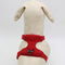 Picture Color Daisy Traction S