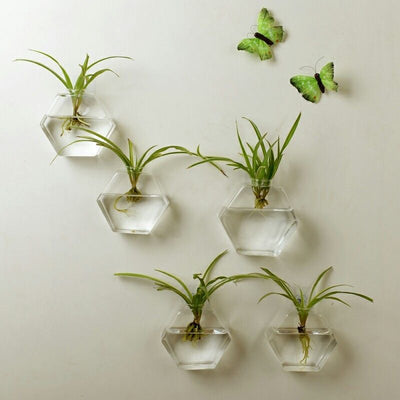 Acuario de Pared Moderno - Image 8