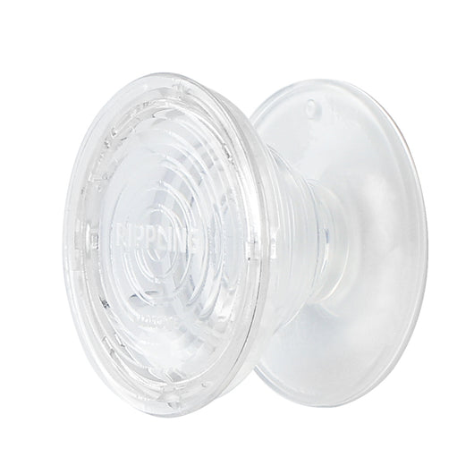 Soporte Plegable con Flores Reales en Resina Transparente - Image 14