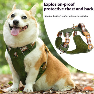 Brown leather pet harness with reflective stripes, adjustable tan buckles, and a gold D-ring on a white background. - Image 2
