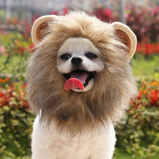 Gorro de León para Mascotas - Disfraz Divertido Navidad y Halloween