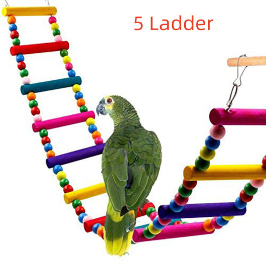 Escalera de Cuentas de Madera Giratoria con Loro Colorido - Image 6