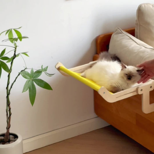 Hamaca Colgante para Gatos - Nido Elevado para Ventana y Balcón - Image 5