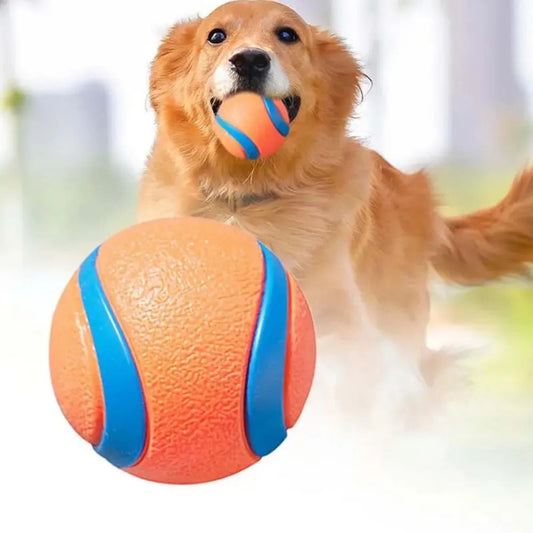 Pelota de Juego Resistente para Perros - Juguete Elástico para Traer y Masticar