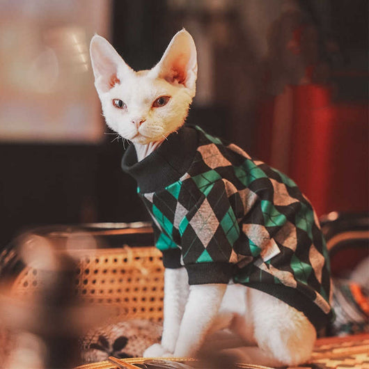 Suéter de Algodón a Cuadros para Gatos sin Pelo - Manga Larga