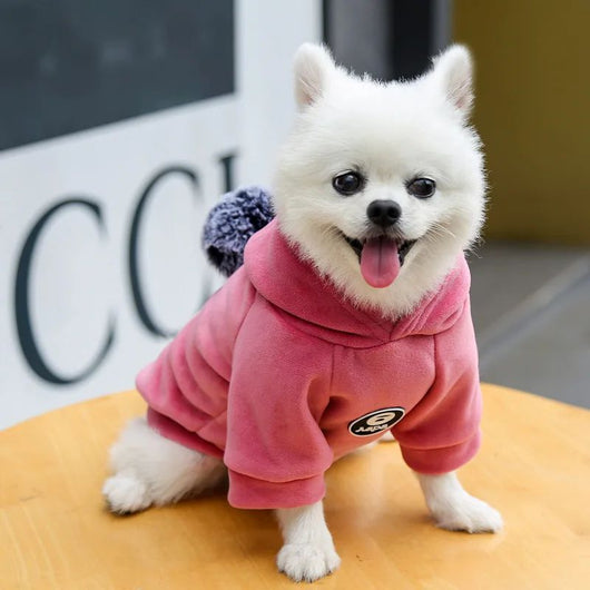 Abrigo Polar con Capucha para Perros y Gatos - Pijama de Invierno para Mascotas Pequeñas - Image 13