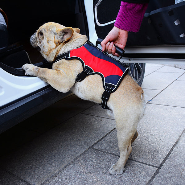 Arnés Táctico Reflectante para Perros Grandes con Correa de Sujeción
