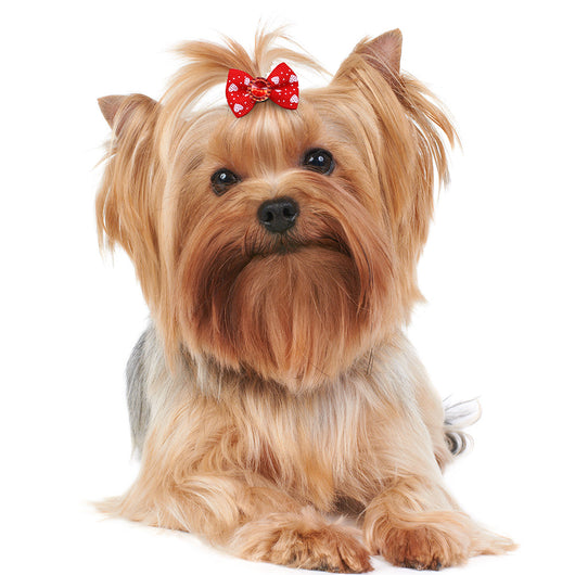 Moño Elástico Floral para Mascotas - Accesorios para Perros y Gatos - Image 8