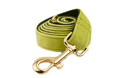Collar para Perro de Terciopelo Suave - Image 19