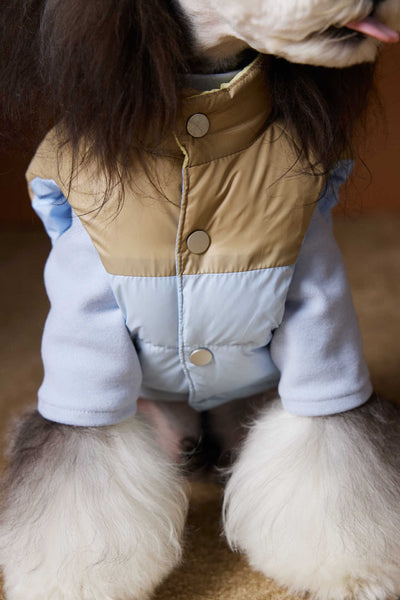Chaleco Acolchado de Invierno para Perros Pequeños - Teddy, Schnauzer, Bichón - Image 12