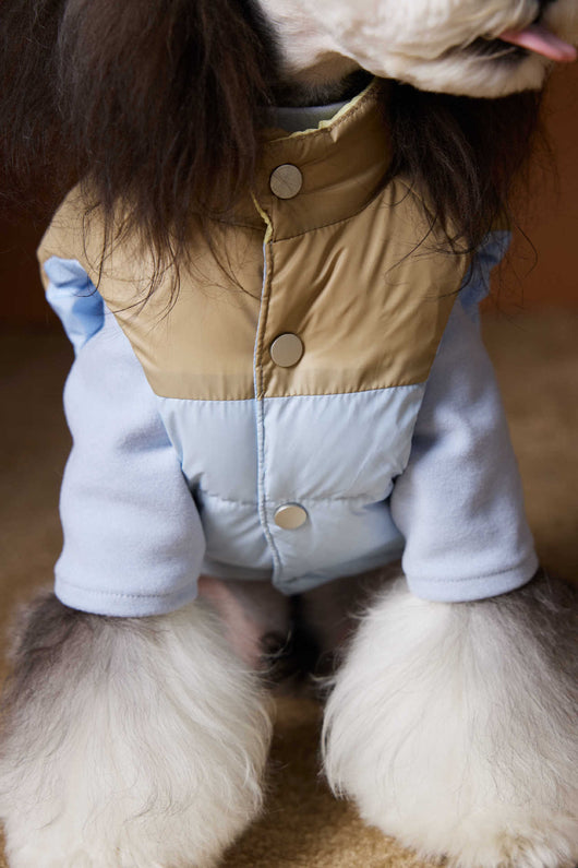 Chaleco Acolchado de Invierno para Perros Pequeños - Teddy, Schnauzer, Bichón - Image 12