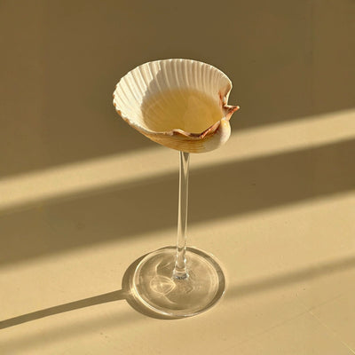 Vaso Térmico Diseño Concha Marina - Taza Creativa para Bebidas - Image 2
