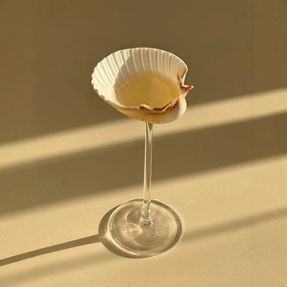 Vaso Térmico Diseño Concha Marina - Taza Creativa para Bebidas
