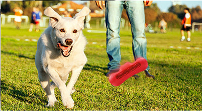 Juguete de Caucho Natural para Perros con Textura de Rugby - Resistente al Morder y Alivio de Dentición - Image 10