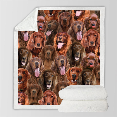 Manta Franela Estampada para Perros - Image 73