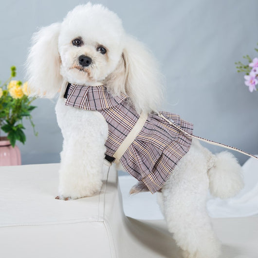 Arnés de Pecho con Cuerda de Sujeción para Mascotas