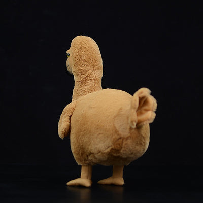 Peluche Educativo Dodo - Colección Biología Prehistórica - Image 4
