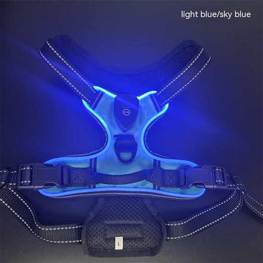 Chaleco LED Luminoso para Paseos Nocturnos de Mascotas con Destello Ajustable - Image 11