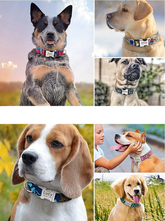 Collar Personalizado para Perros Grandes con Letras - Image 9