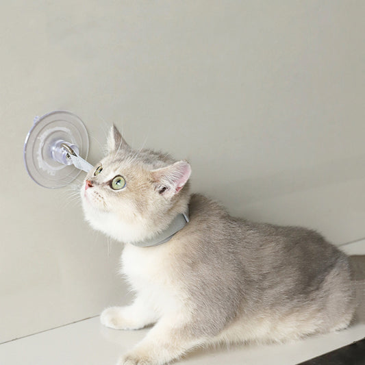 Light gray pet collar with a clear suction cup, designed to secure cats or puppies during bathing or grooming.