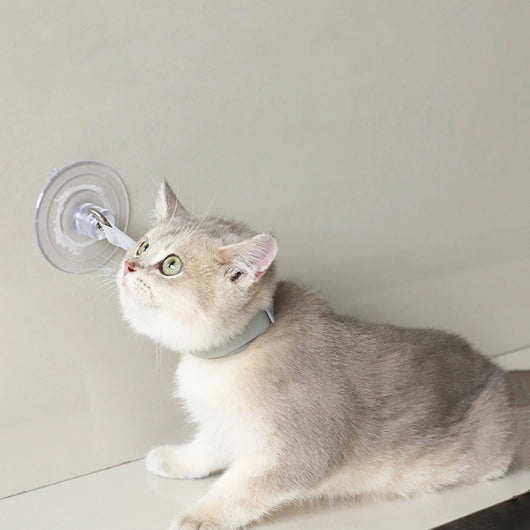 Light gray pet collar with a clear suction cup, designed to secure cats or puppies during bathing or grooming.