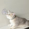 Collar de Baño Ajustable con Ventosa para Mascotas - Accesorios de Baño para Gatos y Perros