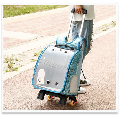 Mochila Transportadora Transparente Plegable para Perros Pequeños con Bolsillo Pañales - Image 31