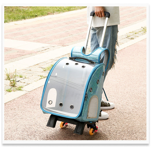 Mochila Transportadora Transparente Plegable para Perros Pequeños con Bolsillo Pañales - Image 31