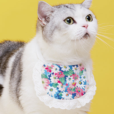 Babero Collar Toalla Saliva para Gatos - Accesorios Felinos Adorables - Image 15