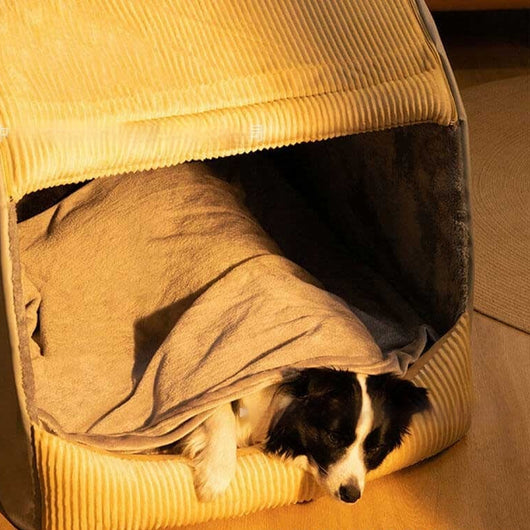 Casa Desmontable y Lavable para Perros de Todas las Estaciones - Image 6