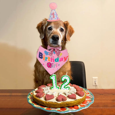 Sombrero de Cumpleaños para Perros con Números y Bandana - Image 16