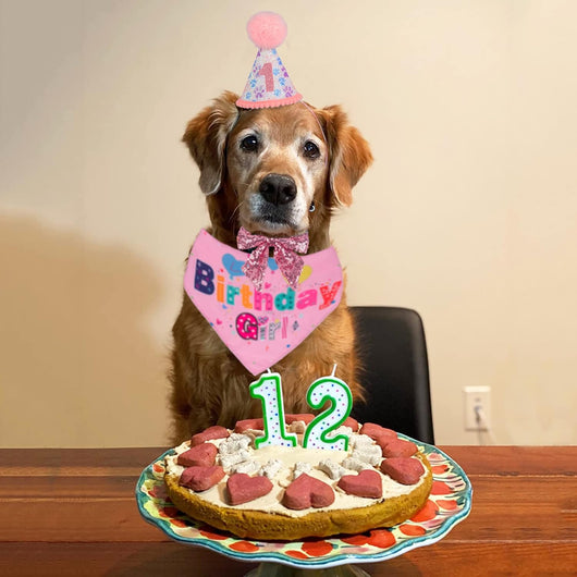 Sombrero de Cumpleaños para Perros con Números y Bandana - Image 16
